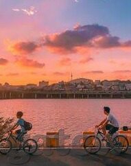 准确地提供足球比分-掌握实时动态，精准获取足球比分的三大黄金法则