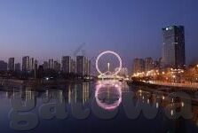 足球比分直播55-足球比分直播55，一场数字背后的激情与策略交响曲